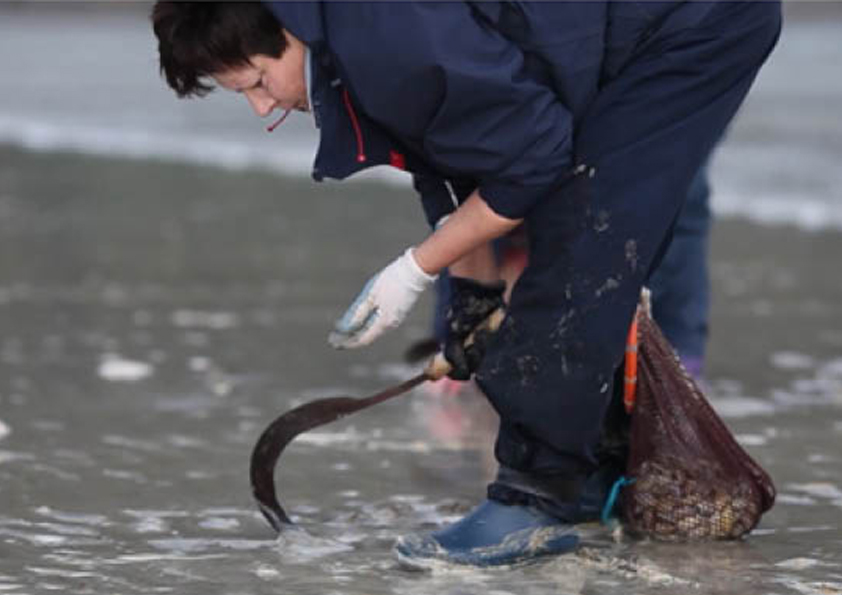 Así en el mar como en la tierra: “El cierlo es nuestro techo”